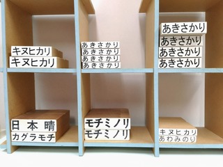 KOMEBUKURO.jpg