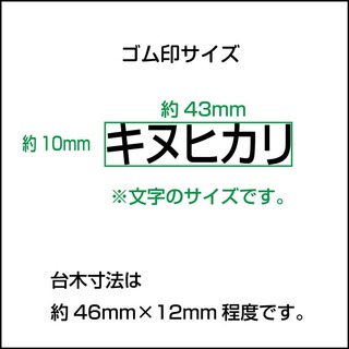 shukka_kome_size2.jpg